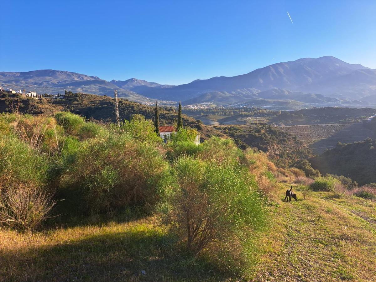 לינה וארוחת בוקר Viñuela Casa Amani מראה חיצוני תמונה
